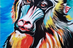 Mandrill apa